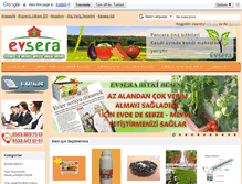 Tablet Screenshot of evsera.com